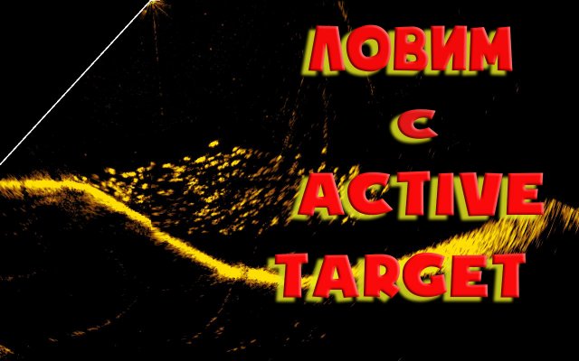 Рыбалка с Active Target. Как видно судака на эхолоте. Реальные поклевки.