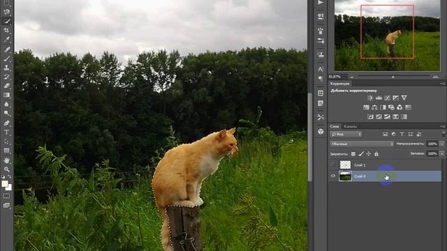уменьшение объекта фотошоп cs6