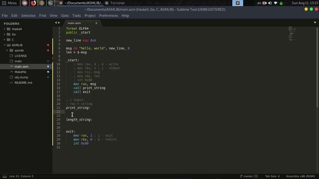 // Язык Ассемблера #1 [FASM, Linux, x86-64] //
