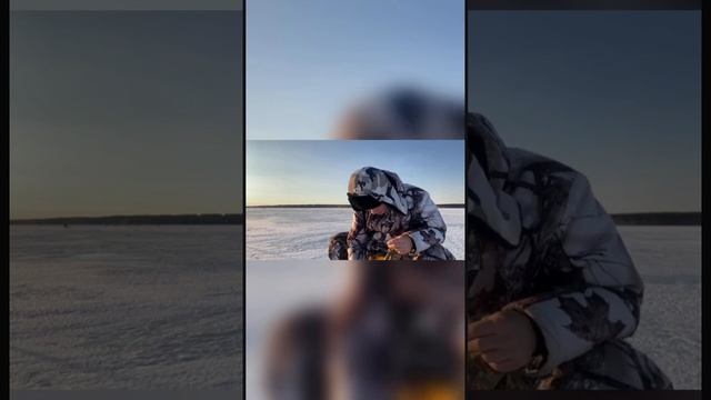 Белоярка раздаёт?. Ловим леща и окуня?. (Зимняя рыбалка на Белоярском водохранилище)