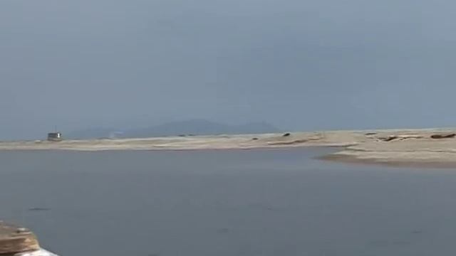 Охота на моржей и китов