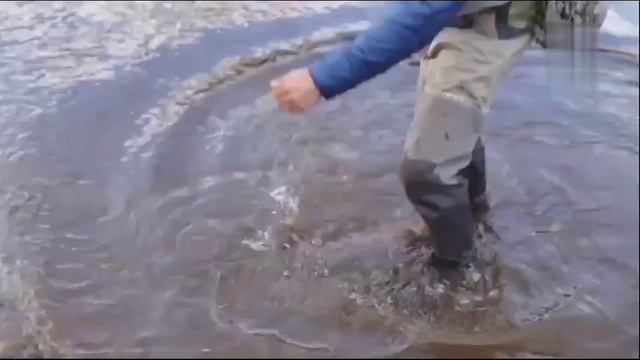 Ловля ленка нахлыстом