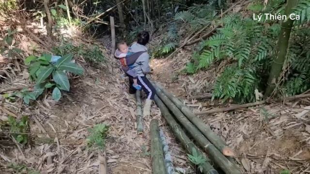 The Life of a 17-Year-Old Single Mother - Forest Life, Rescuing an abandoned baby - Lý Thiên Ca