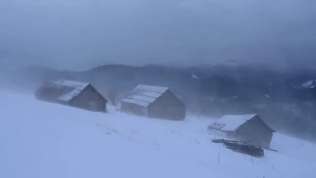 Вьюга, метель, снежный буран, вой волков! Видео для релаксации и медитации.