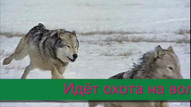 Идёт охота на волков