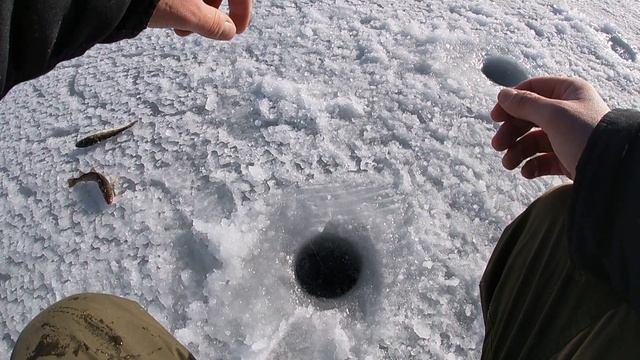 ЗИМНЯЯ РЫБАЛКА / КАК ЛОВИТЬ НАВАГУ / ВЛАДИВОСТОК GO PRO 7 WHITE