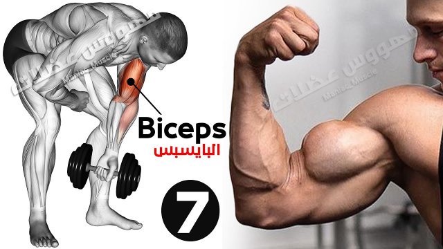 ? Как быстро накачать бицепс (7 эффективных тренировок)