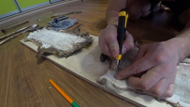 Лыжи охотничьи. Выделка камуса лося в домашних условиях. Часть 2.