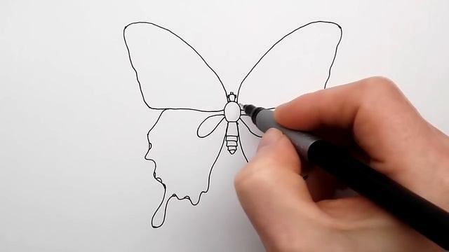 Как Нарисовать Бабочку поэтапно - How to Draw a Butterfly easy