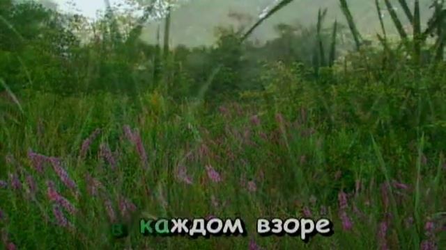 Ариэль - В краю магнолий (Караоке версия)