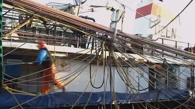 На промысле морского окуня