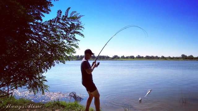 Рыбалка с ночевкой. Ловля на закидушку (донку). Рыбалка на мотоцикле.