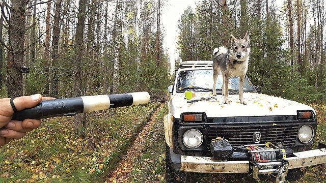 "ПУРГА ПРОПАЛА" Не повторяйте чужих ошибок!