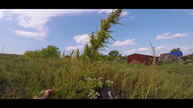 ПАВЛИК 5 СЕЗОН - 8 серия