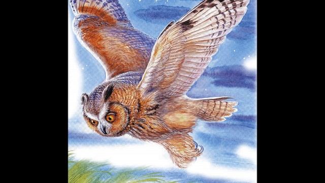 "СОВА" В.В.Бианки