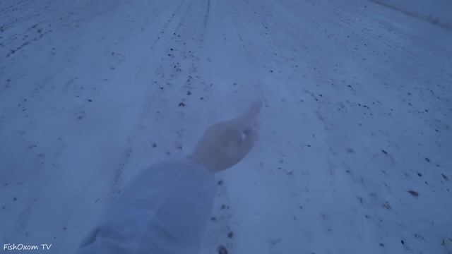 Охота на зайца. РАСПУТАЛ ДВУХ ЗАЙЦЕВ! Тропление зайца зимой по снегу.