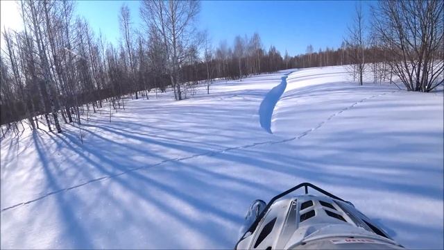 Тайга-Варяг 550 в пухляке,  как  выехать из глубокого снега?