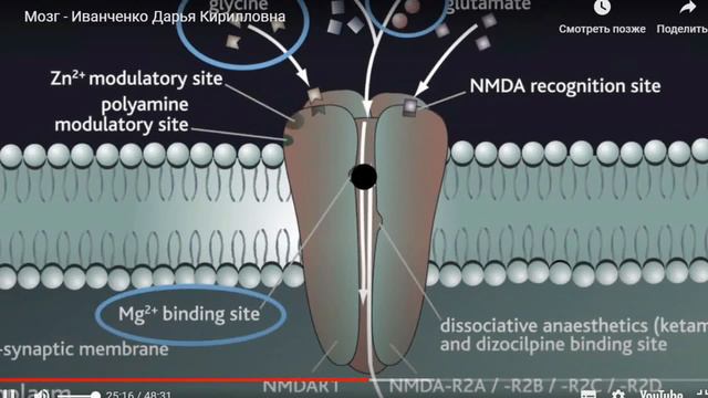 Глицин эффективен ТОЛЬКО в высоких дозах