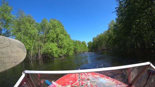Охота и рыбалка в ХМАО - ЯНАО | Большая вода ИЮНЬ 2024