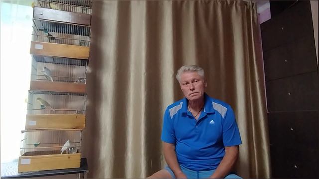 Соболев Сергей Витальевич и его канарейки.mp4