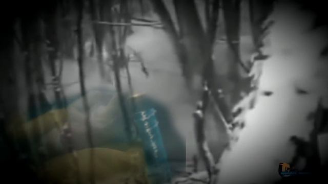 Солдатские песни Тебе бы в руки мой автомат ( в исполнении Ширяева Вадима)