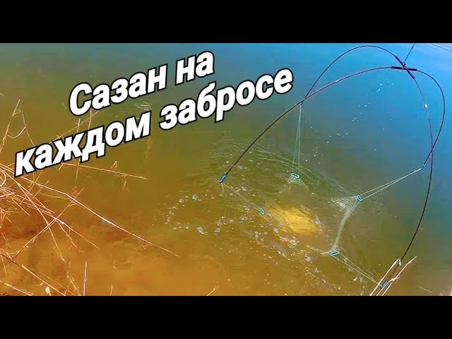 Рыбалка на паук в малых Сибирских реках! Сазан на каждом забросе! Адреналин зашкаливает!