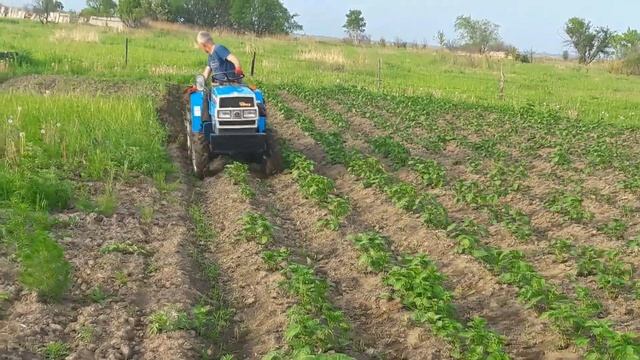 ВТОРОЕ ОКУЧИВАНИЕ КАРТОФЕЛЯ МИНИТРАКТОРОМ