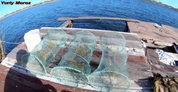 Ловля раков на раколовки. Как ловить раков на раколовки