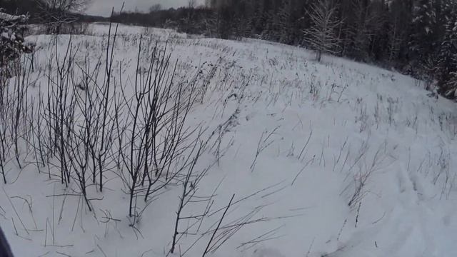 Охота на волка