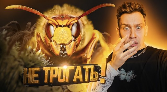 Никогда не смей трогать этих насекомых, пожалеешь