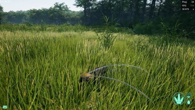 САМЫЙ КРАСИВЫЙ И ЯДОВИТЫЙ ДИНОЗАВР ( The Isle )