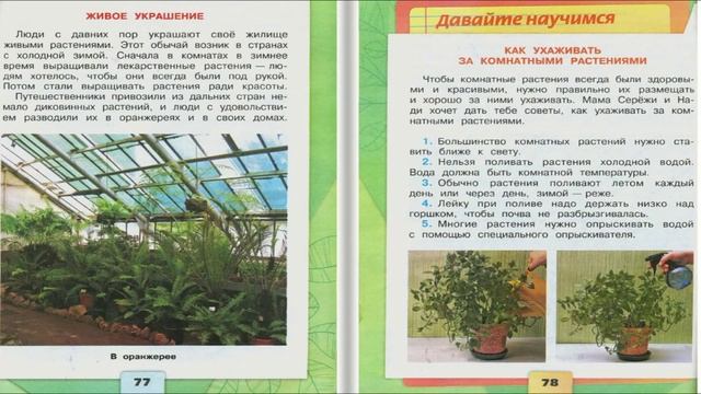 Комнатные растения. Окружающий мир. 2 класс, 1 часть. Учебник А. Плешаков стр. 76-79