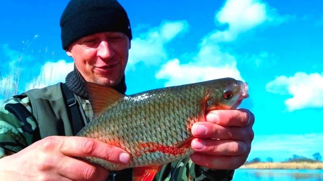 Ловля крупной ПЛОТВЫ на ПОПЛАВОК! Или просто шикарный день на рыбалке!