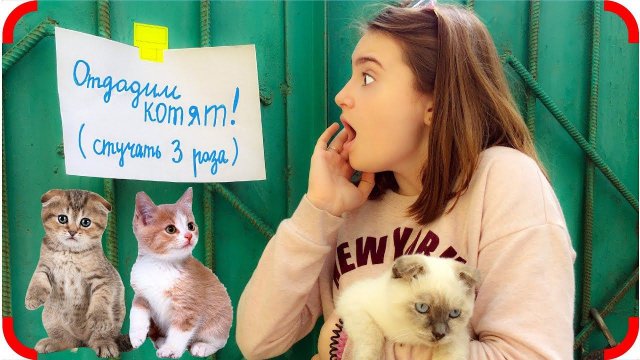 Уговорила Маму Завести Котенка!!!