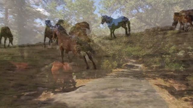 Лошади в естественной природе | Красивые лошади в сочных пейзажах со звуками природы