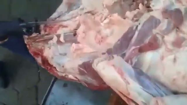 Пила для разделки туши