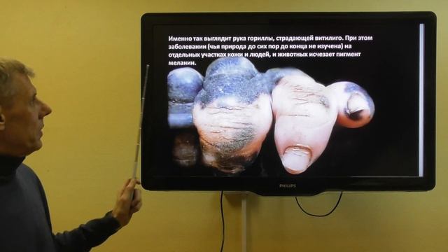 Сотворение, эволюция или инволюция? Что лучше? Александр Белов 4 января 2020