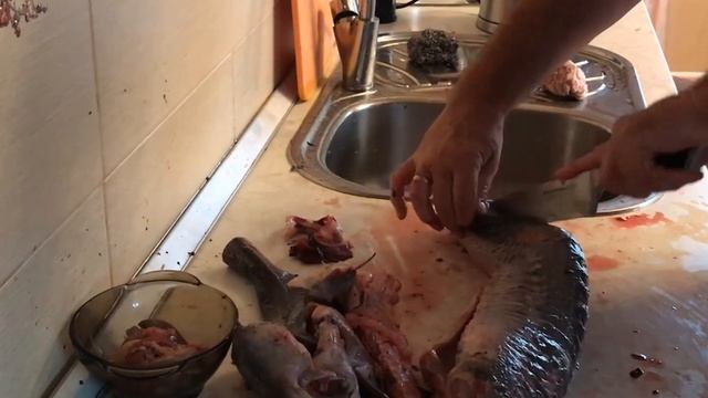 Как приготовить осетрину просто,  видео-инструкция, жареный осетр