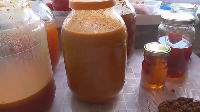 Облепиховое масло в домашних условиях ! Доступный способ.