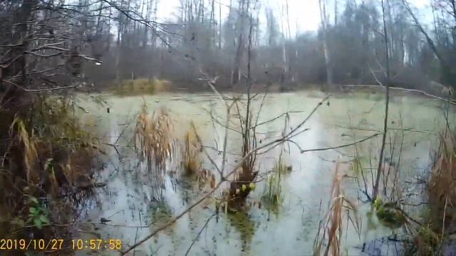 Охота на уток с мц 21-12