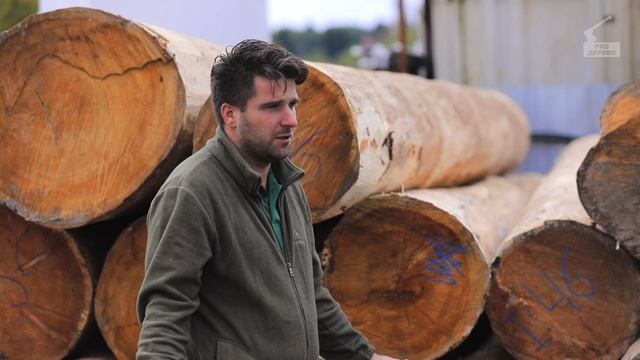 О заготовке леса. Наше производство.