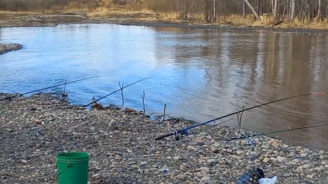 Рыбалка на Чукотке #видео #север #чукотка #вахта #лето2023 #рыбалка #северная река #топ #ловим рыбу