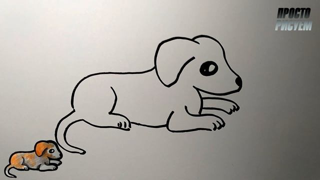 Как нарисовать СОБАКУ, очень простой способ, Просто рисуем