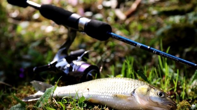 ТОП-8 Микроджиговых спиннингов СРЕДНЯЯ ЦЕНОВАЯ КАТЕГОРИЯ