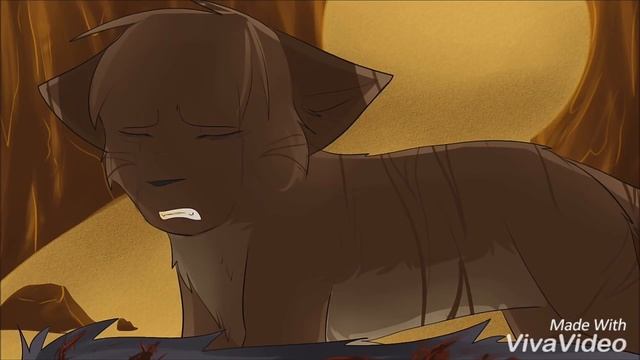 Коты-Воители.|Грустная Анимация