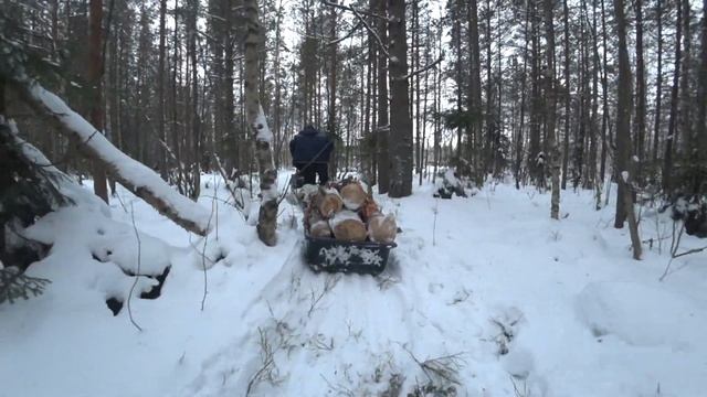 ЕДЕМ ЗА ВАЛЕЖНИКОМ НА МОТОБУКСИРОВЩИКЕ