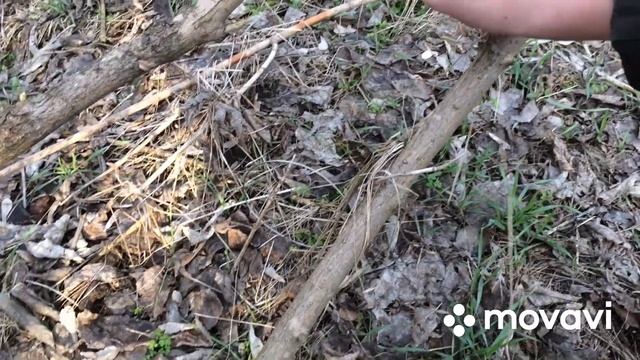 ?ЛОВЛЯ ЗАЙЦА НА ПЕТЛЮ✅ ПОЙМАЛ ЗАЙЦА БЕЗ ПНЕВМАТИКИ !!!⚠️