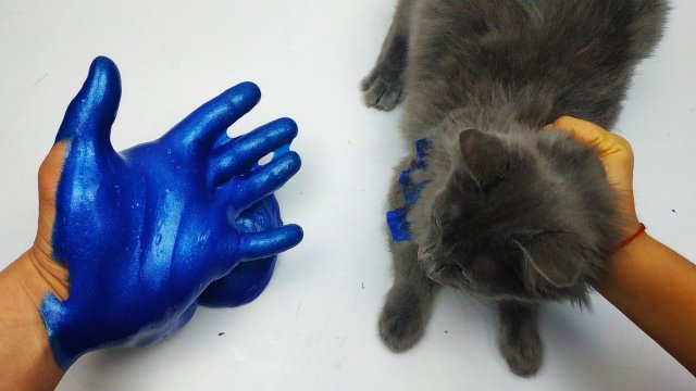 Крутые новые СЛАЙМЫ ЛИЗУНЫ СЛИЗЬ изменение, улучшение, распаковка, обзор и проверка!