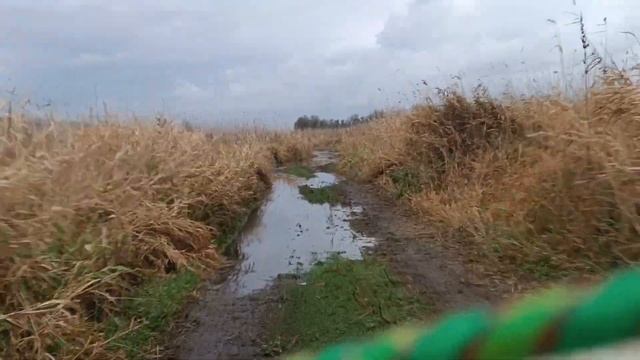 покатушки на квадроцыкле 400 кубов