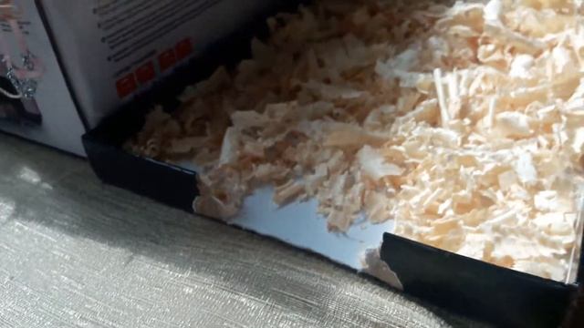 Перестановка в конюшне для шляйх